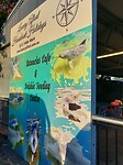 Dolphin Centre