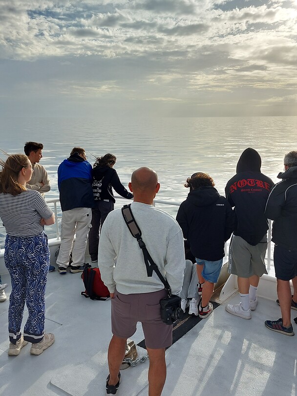 Whale watching