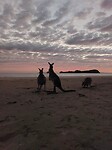 Cape Hillsborough National Park