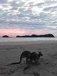 Cape Hillsborough National Park