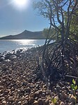Cape Hillsborough National Park