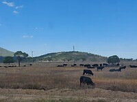 On the road