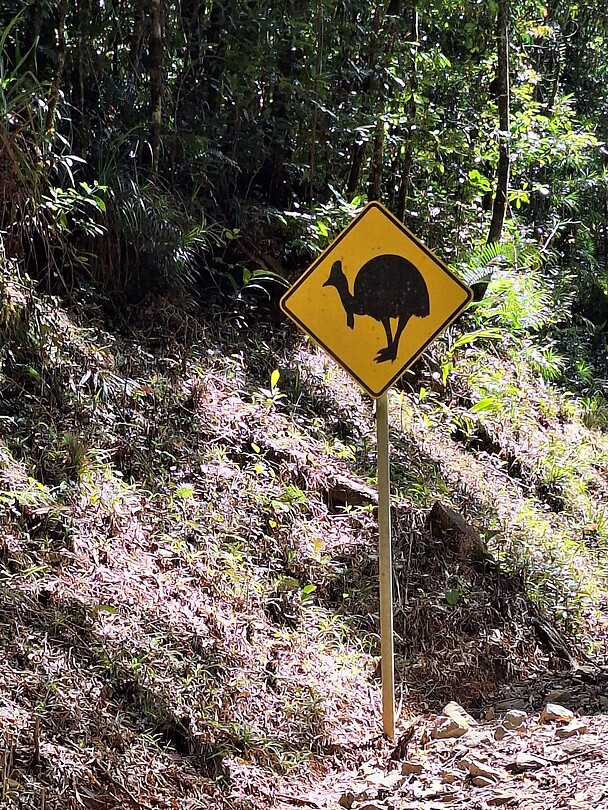 Cassowary