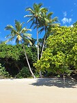 Etty Bay