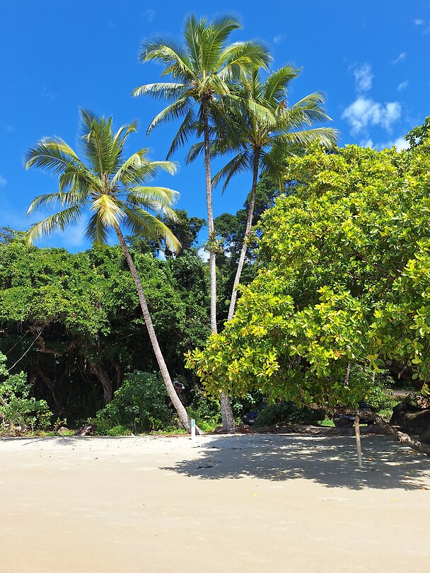 Etty Bay
