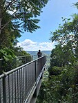 Mamu tropical skywalk