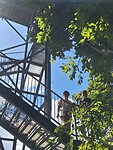 Mamu tropical skywalk