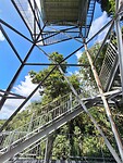 Mamu tropical skywalk