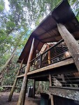 Boomhut buitenkant