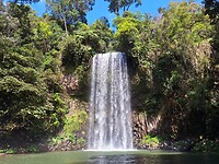 Millaa Millaa Falls