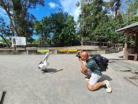 Wildlife Habitat