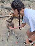 😀🦘