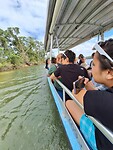 Crocodile Cruise