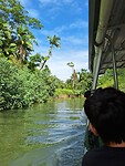 Crocodile Cruise