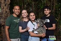 Dè koalafoto 🐨