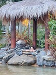 Zwembad Plantage Resort