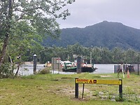 Pontje Daintree River