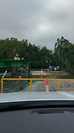 Pontje Daintree River