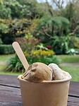 Daintree Icecream Company