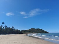 Great Barrier Reef meets Rainforest