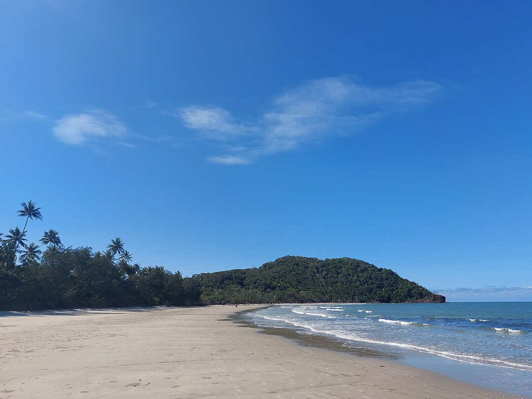 Great Barrier Reef meets Rainforest
