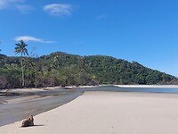 Cape Tribulation