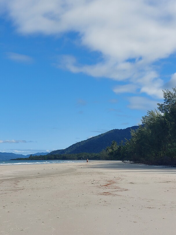 Cape Tribulation