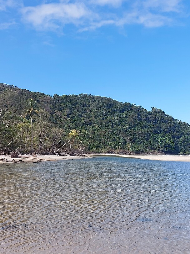 Cape Tribulation