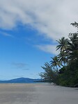 Cape Tribulation