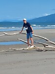 Cape Tribulation