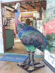 Kuranda