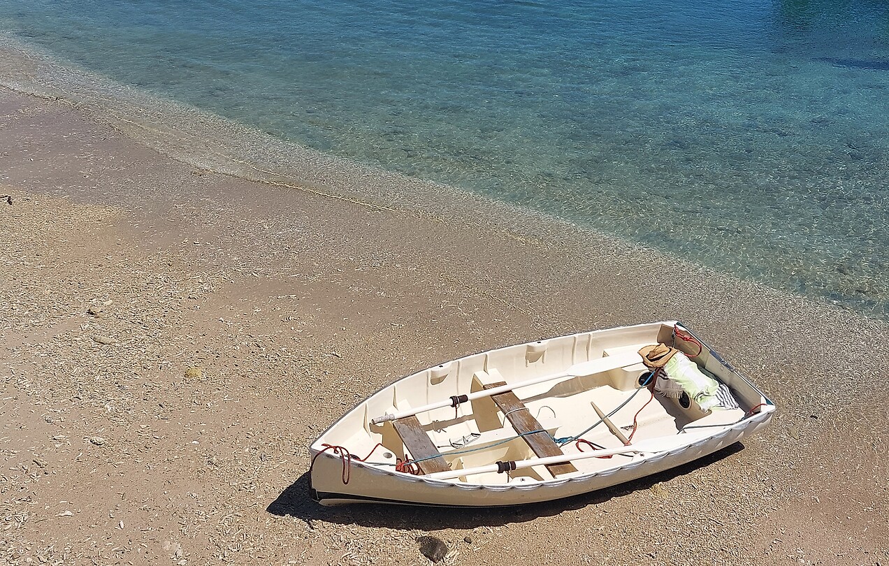 Fitzroy Island