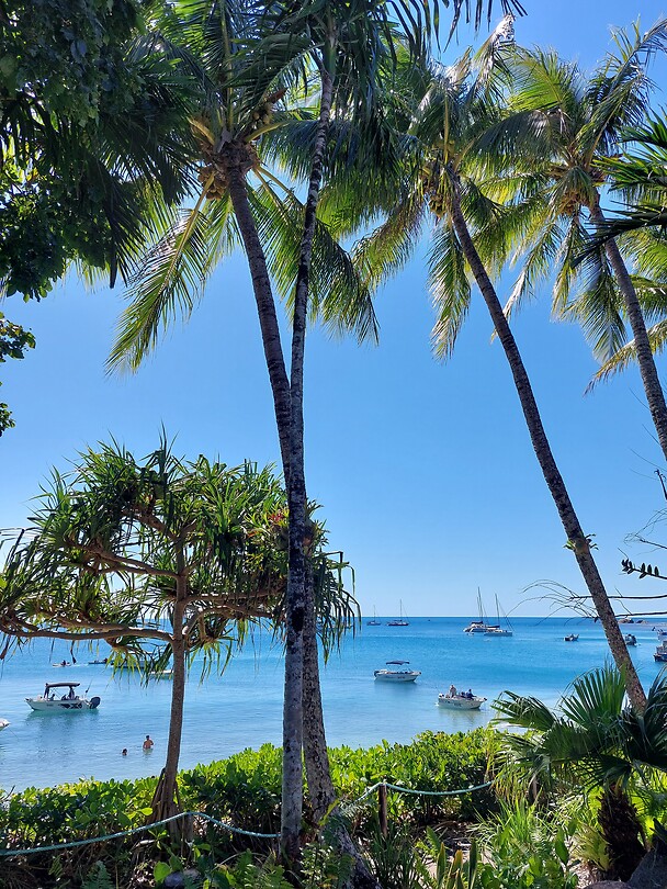 Fitzroy Island