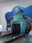 Bagageband Cairns Airport