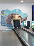 Bagageband Cairns Airport