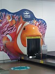Bagageband Cairns Airport
