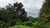 Villa in Daintree Rainforest