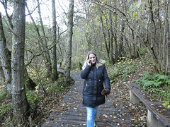 Wandelpad naar de watervallen van Clyde