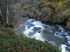 Rivier richting de watervallen van Clyde