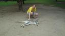 Kangaroo in Australian Zoo