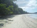Cape Tribulation