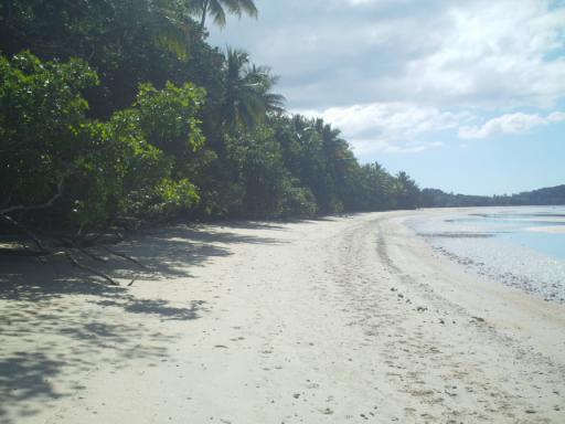 Cape Tribulation