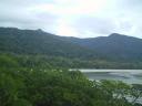 Cape Tribulation