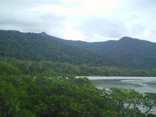 Cape Tribulation