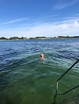 Zwemmen vanaf de camping