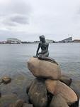 De Liddle Mermaid
