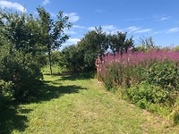 Natuurplaatje