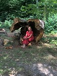 In het oude Slotbos van Augustenborg