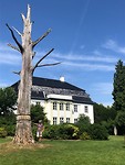 Sculptuur in Paleistuin