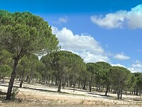 Mooie landschappen onderweg